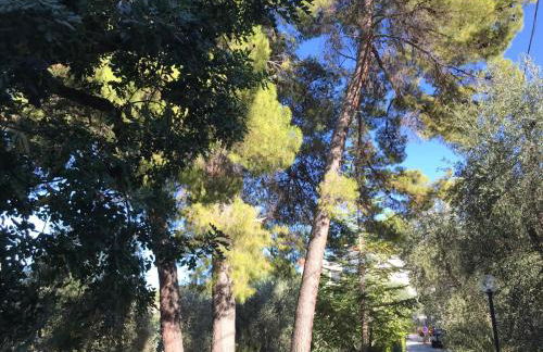 VILLA PINETA VISTA MARE - Foto 64