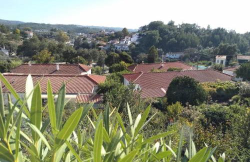 Casa Rio Zêzere - Foto 32