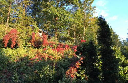 Apartment - zentrumsnah, eigener Parkplatz und großer Balkon ins Grüne - Foto 38