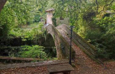 Τα πλατάνια - Foto 32