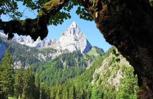 Ferienwohnung in Halblech - Photo 34