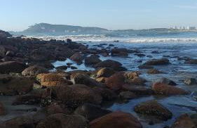 Studio Beira Mar - Photo 25