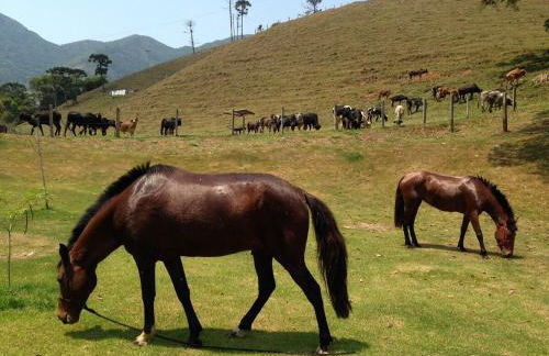 Fazenda Montanhes - Foto 63