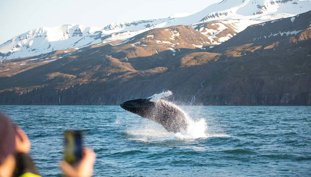 Tour in Bei Du Xin Di Qu - Foto 2