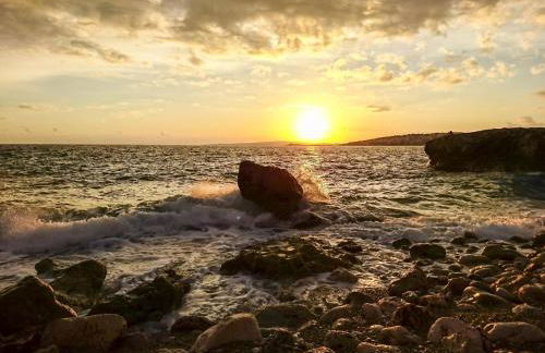 Can montis - Photo 26