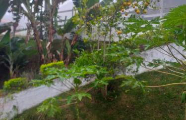 Casa de Campo em Teresópolis - Foto 22