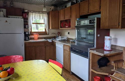 Vintage Cabin Rental near Tippy Dam in Manistee National Forest, Michigan - Foto 6