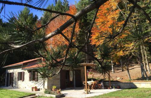 Casa Camporino - Foto 66