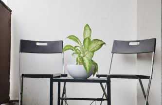 Petit cocon à 2 pas d'Orly-Paris - Foto 11