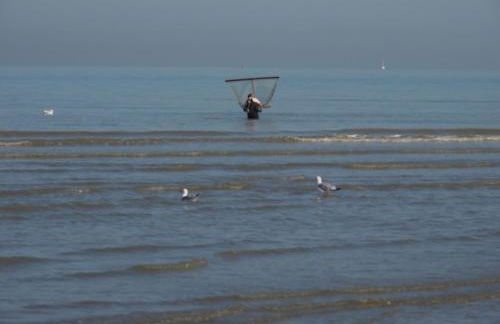 Entre dunes et mer - Foto 24