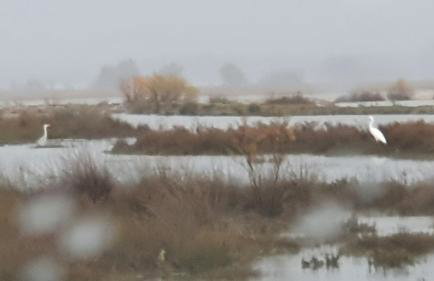 PETROS ROOMS to LET KALOGRIA BEACH - Foto 18