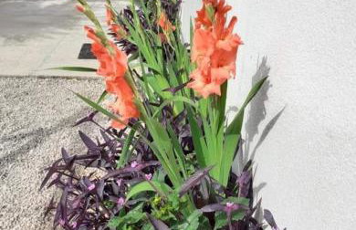 Apartments Jeličić - Foto 74