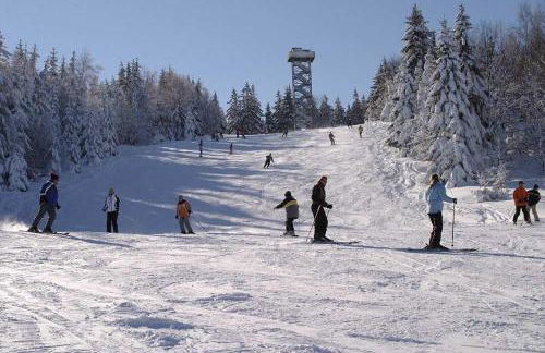 Ferienhaus Bayerwald am Erlauzwieseler See - Foto 12