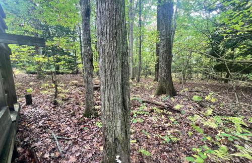 Amherst Woodland Escape - Foto 8