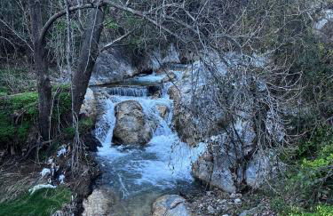 Cortijo Chupito - Foto 25