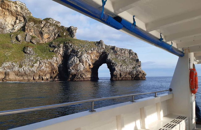 Balade en bateau sur la côte de Urdaibai - Photo 2