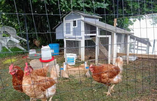 Bel Appartement T2 Climatisé avec piscine Poitiers-Futuroscope-CREPS de Poitiers - Foto 44