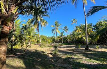 Porto Taipu - Foto 36