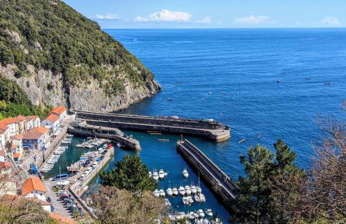 Elantxobe Plaza VT - Foto 29