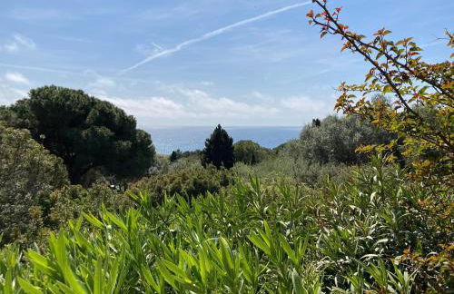 Chez Jean Claude la villa des amis - Foto 41