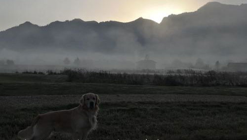 Beste Zeit Ferienwohnung - Foto 4