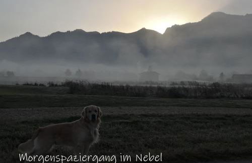 Beste Zeit Ferienwohnung - Foto 4