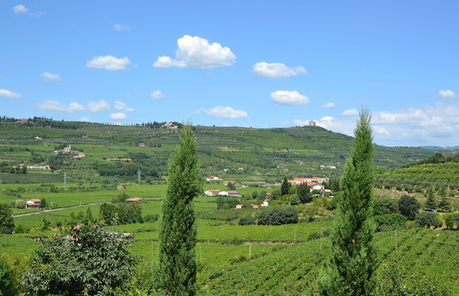 Corte Tamellini - Foto 56