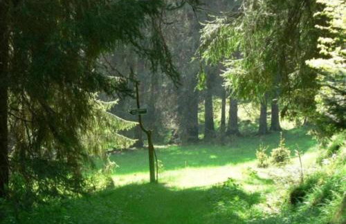 Ferienhaus in Altenfeld Thuringen mit Garten - Foto 50