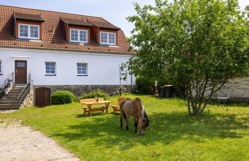 Ferienwohnung "FLORI's PONYHOF" - Foto 1