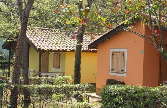 Bungalow Village Le Caravelle - by Mamberto S.r.l. - Photo 35