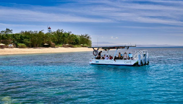 Wavedancer Low Isles Cruise from Port Douglas - Foto 4