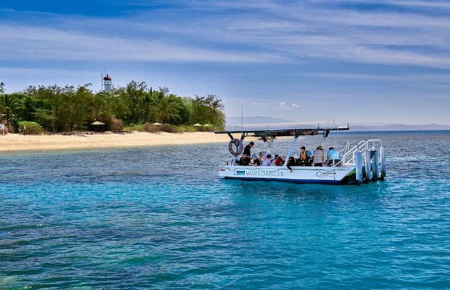 Wavedancer Low Isles Cruise from Port Douglas - Photo 4