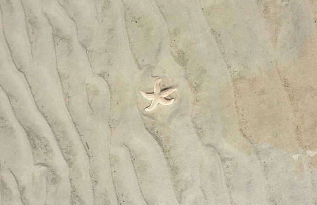 Little Seagull Modern Retreat - Foto 13