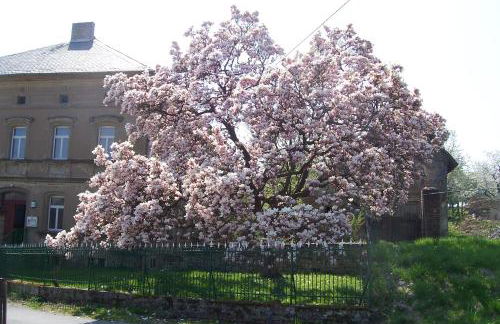 Ferienwohnung Schleich - Foto 2