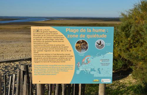 Fare Bambou - Foto 44