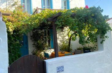 Two sisters - Foto 6