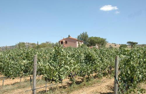 Agriturismo Pian dei Pini - Foto 37