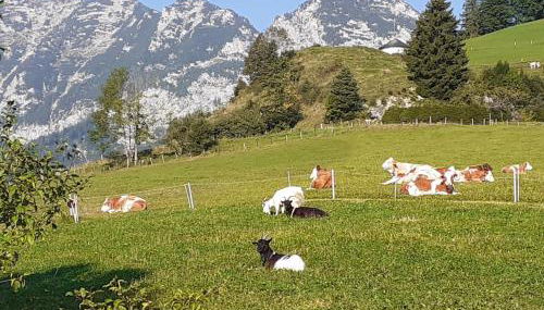 Klettnerlehen - Photo 5