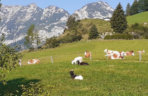 Klettnerlehen - Foto 5