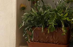 A piedi nudi sullo Stretto 1 - Foto 1