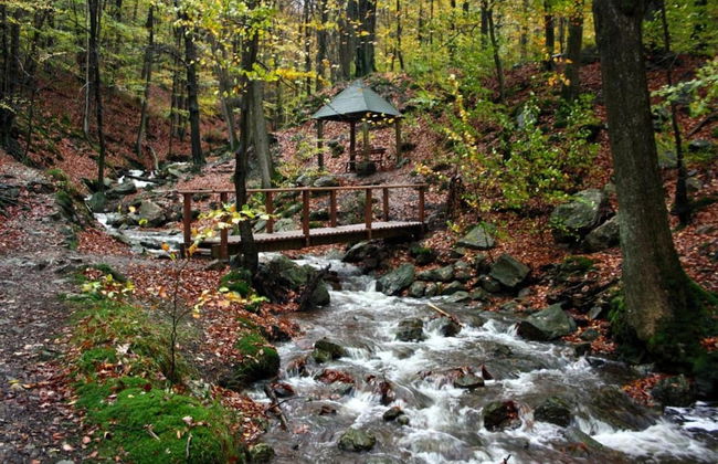 Attractive Holiday Home in Spa With Swimming Pool - Photo 38