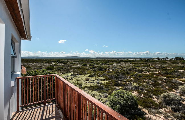 The Happy Cactus - Foto 43