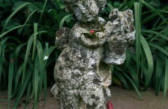 La Casa del Ciliegio - Foto 15