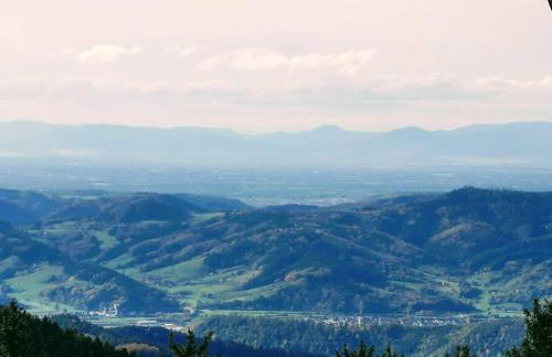 Traumhafte Maisonette-Wohnung im Schwarzwald - Foto 50
