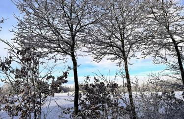 Paradiso Worpswede - Foto 75