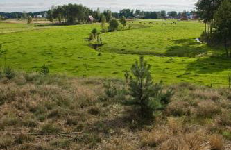 Agroturystyka Sominy - Foto 16