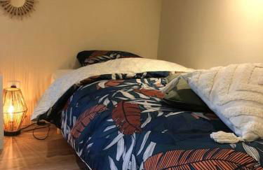 Tiny house au cœur du marais - Foto 41