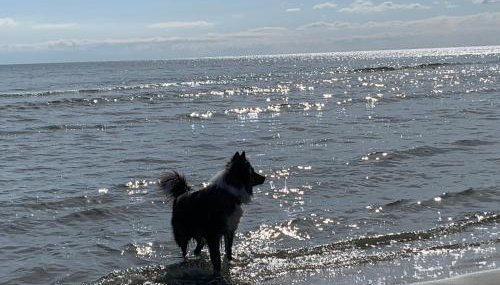 Villa Kehrwieder Göhren - Foto 3