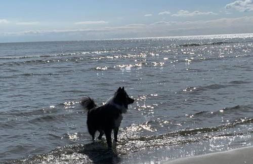 Villa Kehrwieder - Foto 8