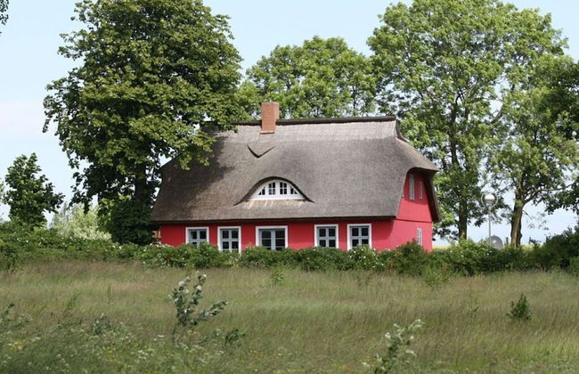 "amalie" in the Villa Eckhart - Foto 15